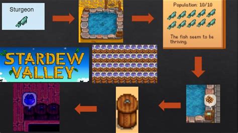 caviar stardew|How to make Caviar .